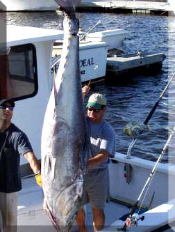 Offshore Tuna Fishing aboard Schools Out