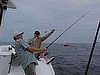 Serious fisherman