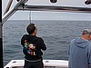 tuna fight