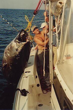 780 Pound Giant Bluefin Tuna